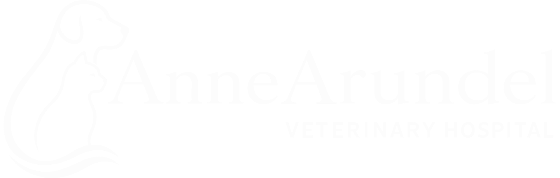 Anne Arundel Veterinary Hospital